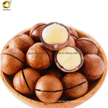 Healthy Chinese Delicious Macadamia